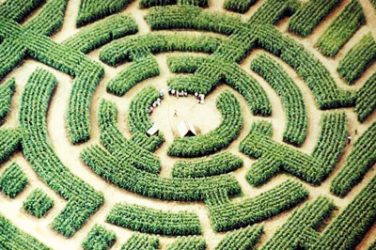 Labyrinthe Géant image