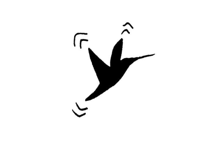 INITIATIVES JEUNES / ACCUEIL LIBRE image