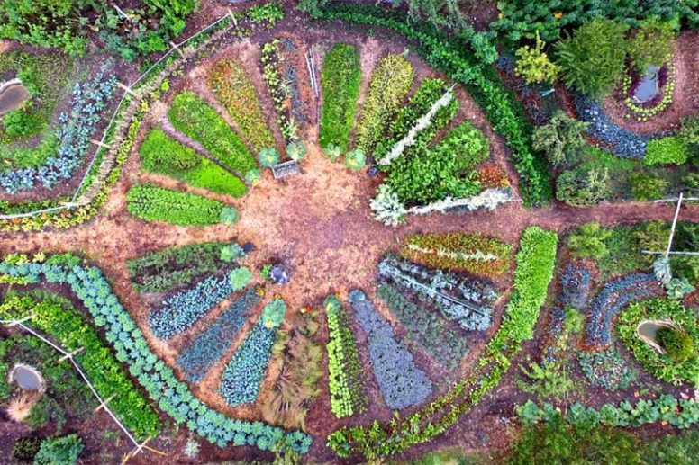 FERME PéDAGOGIQUE EN PERMACULTURE image