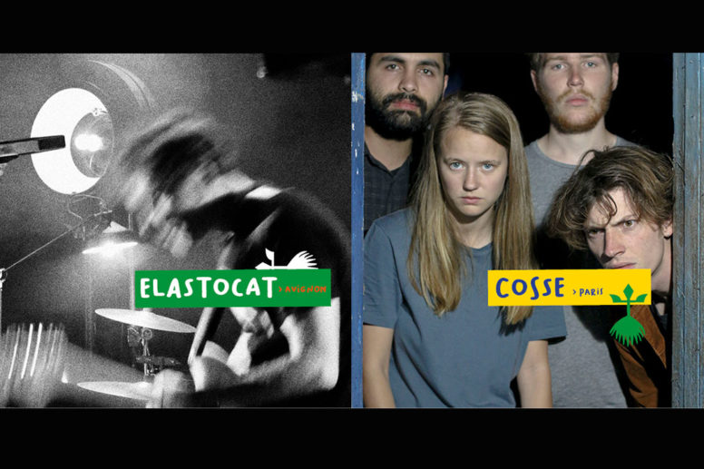 Elastocat + Cosse image