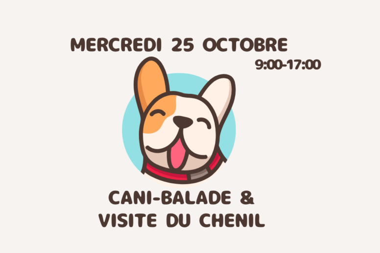 Cani-Balade + Visite du chenil image