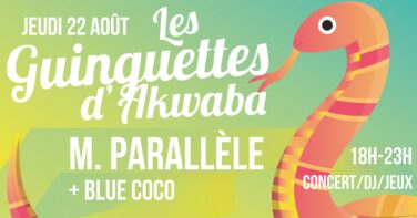 JEU 22/08 : Les Guinguettes d'AKWABA - Monsieur Parallèle + Blue Coco image